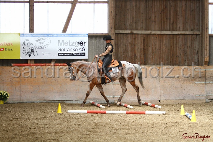 28-ApHC OT_207.jpg